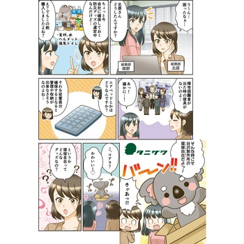 寝宿自在(災害・緊急時の寝具セット) 谷沢製作所