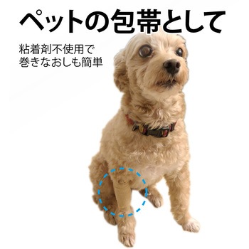 ピタッとタイ 竹虎