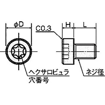 樹脂ネジ(ピークヘクサロビュラ穴付低頭ボルト) PEHL-0000 ヘクサロビュラ穴付低頭ボルト 廣杉計器