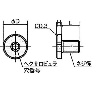 樹脂ネジ(PPS極低頭ボルト) PSHS-0000 ヘクサロビュラ穴付極低頭ボルト 廣杉計器