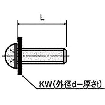 樹脂ネジ(セラミックスナベ小ネジ) RA-0000-Tセットナベ小ネジ (ガス抜用穴付) 廣杉計器