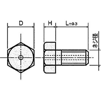 樹脂ネジ(セラミックス ボルト) RABT-0000ボルト (ガス抜用穴付) 廣杉計器