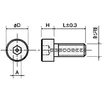 樹脂ネジ(セラミックス六角穴付ボルト) RAC-0000ボルト (ガス抜用穴付) 廣杉計器