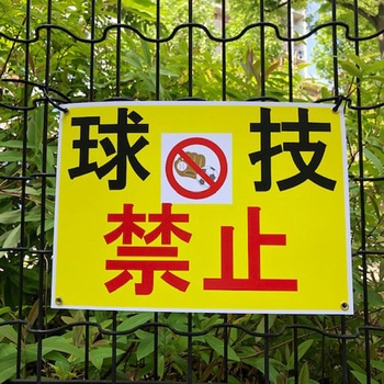レーザーピーチ 両面印刷タイプ レーザーピーチ