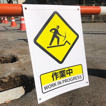 レーザーピーチ 両面印刷タイプ レーザーピーチ