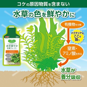 Megreen 水草鮮やか栄養ウォーター ジェックス
