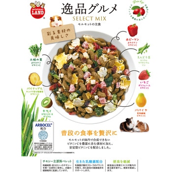 モルモットの主食 逸品グルメ minimal LAND