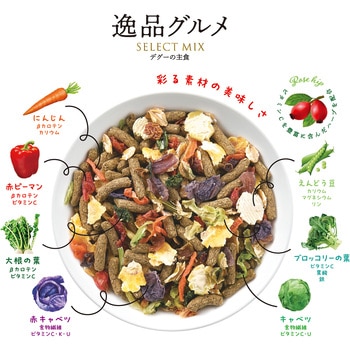 デグーの主食 逸品グルメ minimal LAND