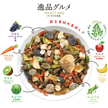 チンチラの主食 逸品グルメ minimal LAND