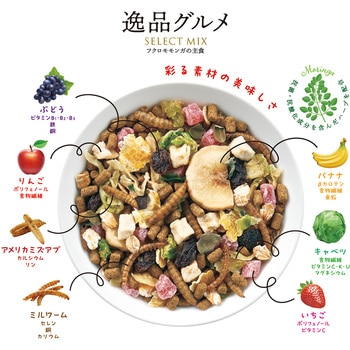 フクロモモンガの主食 逸品グルメ minimal LAND