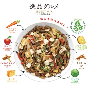 ハリネズミの主食 逸品グルメ minimal LAND