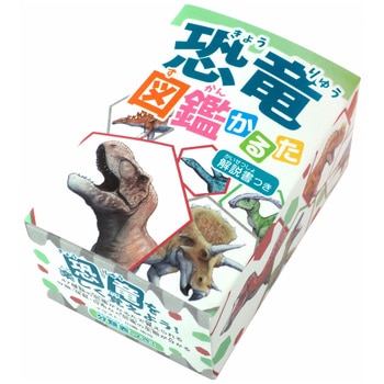 恐竜図鑑かるた 日本パール加工