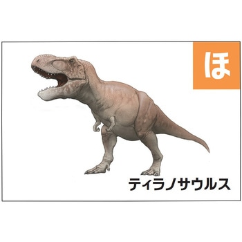 恐竜図鑑かるた 日本パール加工