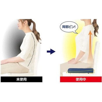 Dr．PRO低反発フィットクッション NEEDS LABO