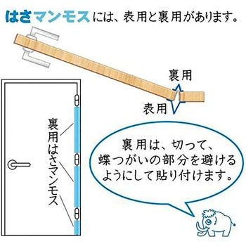 はさマンモス 賃貸用 表裏セット はさマンモス
