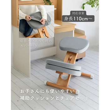 プロポーションチェア カバー付き ミヤタケ(宮武製作所)