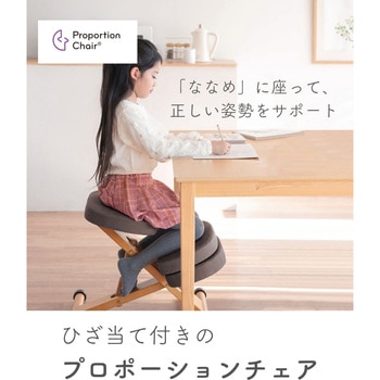 プロポーションチェア カバー付き ミヤタケ(宮武製作所)