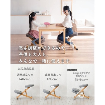 プロポーションチェア カバー付き ミヤタケ(宮武製作所)