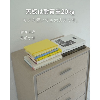 脚付き ファブリックチェスト YAMAZEN(山善)
