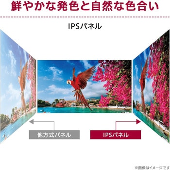 27インチ 液晶ディスプレイ(1920x1080/IPS/アンチグレア/HDMIx2/TypeC(PD65W)/チルト/3年保証) LG