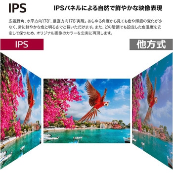 27インチ ワイド液晶ディスプレイ(3840x2160/IPS/ノングレア/HDMIx2/DP/TypeC(PD90W)/高さ調整/ピボット/チルト) LG