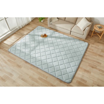 ラ・クッションラグ冷感ジェルタイプ アイリスオーヤマ