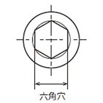 六角穴付きボルト(キャップボルト) M6-75 NTB