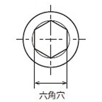 六角穴付きボルト(キャップボルト) M10-40 NTB