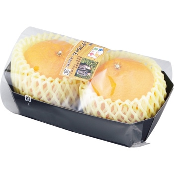 COPトレー ヤマニパッケージ
