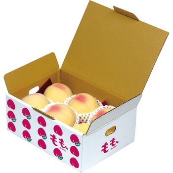 イラスト もも ヤマニパッケージ