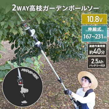 高枝2WAYガーデンポールソー 2.5Ahバッテリー付属 着脱式伸縮延長ポール のこぎり 10.8V コードレス YAMAZEN(山善)