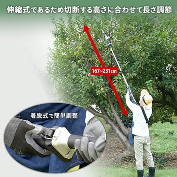 高枝2WAYガーデンポールソー 2.5Ahバッテリー付属 着脱式伸縮延長ポール のこぎり 10.8V コードレス YAMAZEN(山善)