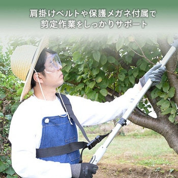 高枝2WAYガーデンポールソー 2.5Ahバッテリー付属 着脱式伸縮延長ポール のこぎり 10.8V コードレス YAMAZEN(山善)