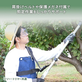 4WAY高枝ガーデントリマー&ガーデンソーセット 2.5Ahバッテリー付属 着脱式伸縮延長ポール 10.8V コードレス YAMAZEN(山善)