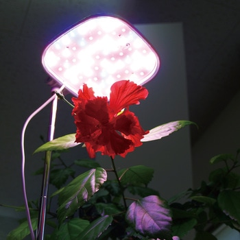 スタンド型植物育成ライト 富士倉