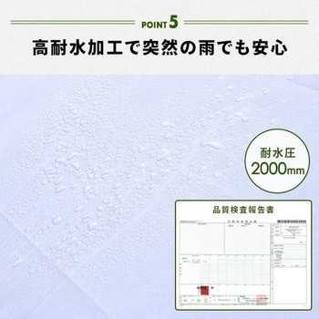 ワンタッチタープテント 3×6m サイドシート4枚付き YAMAZEN(山善)