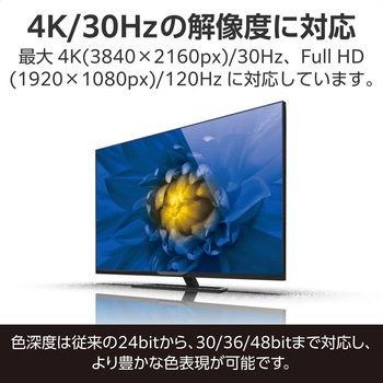 mini HDMI - HDMI 変換ケーブル スリムケーブル 4K/30Hz HEC/ARC対応 双方向通信 エレコム