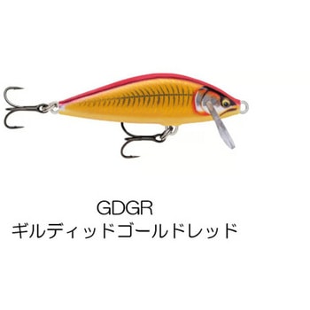 カウントダウン エリート CDE35 - ラパラ・ジャパン