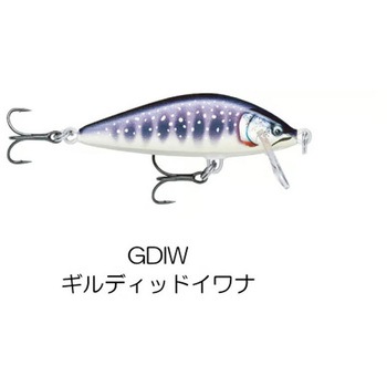 カウントダウン エリート CDE35 - ラパラ・ジャパン