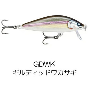 カウントダウン エリート CDE55 ラパラ・ジャパン