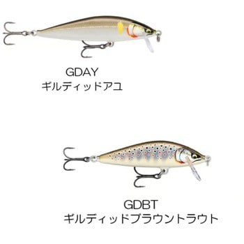 カウントダウン エリート CDE75 ラパラ・ジャパン