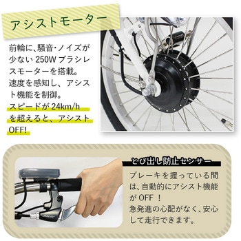ロータイプ電動アシスト三輪自転車 E-PARTON