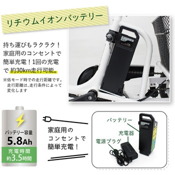 ロータイプ電動アシスト三輪自転車 E-PARTON