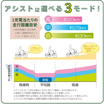 ロータイプ電動アシスト三輪自転車 E-PARTON