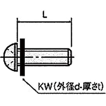 樹脂ネジ(レニー小ネジ) RY-0600-T 廣杉計器