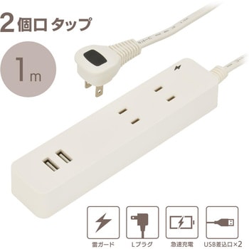 2個口タップ 雷ガード USBポート付き オーム電機