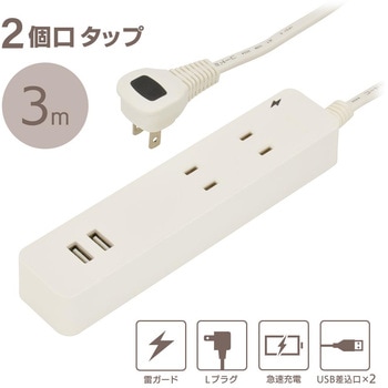 2個口タップ 雷ガード USBポート付き オーム電機