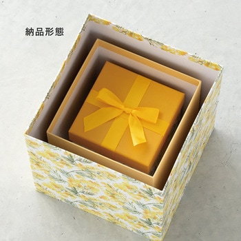 ディスプレイボックス HEADS(ヘッズ)