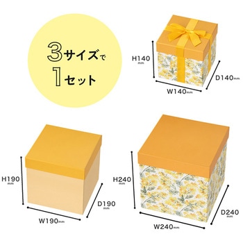 ディスプレイボックス HEADS(ヘッズ)