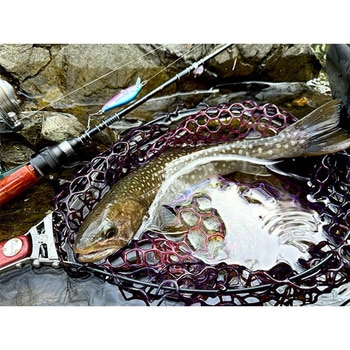 ネルメッツォ50FS EverGreen INTERNATIONAL